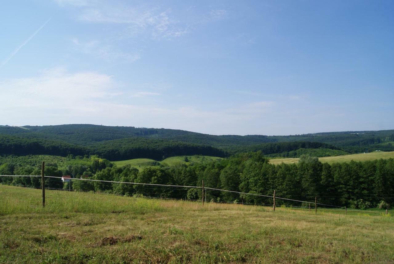 Bársonyberek vendégház Bakony Jásd Exterior foto
