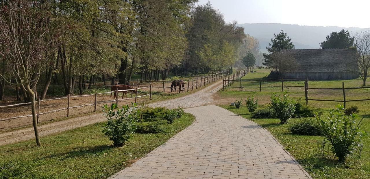 Bársonyberek vendégház Bakony Jásd Exterior foto