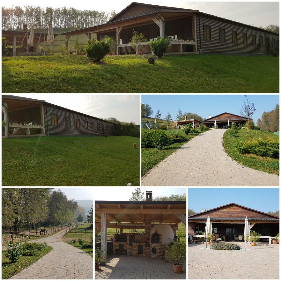 Bársonyberek vendégház Bakony Jásd Exterior foto