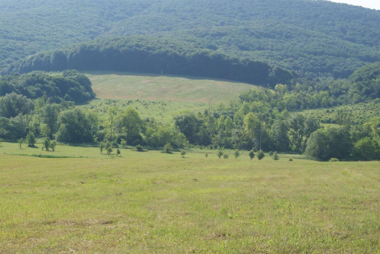Bársonyberek vendégház Bakony Jásd Exterior foto